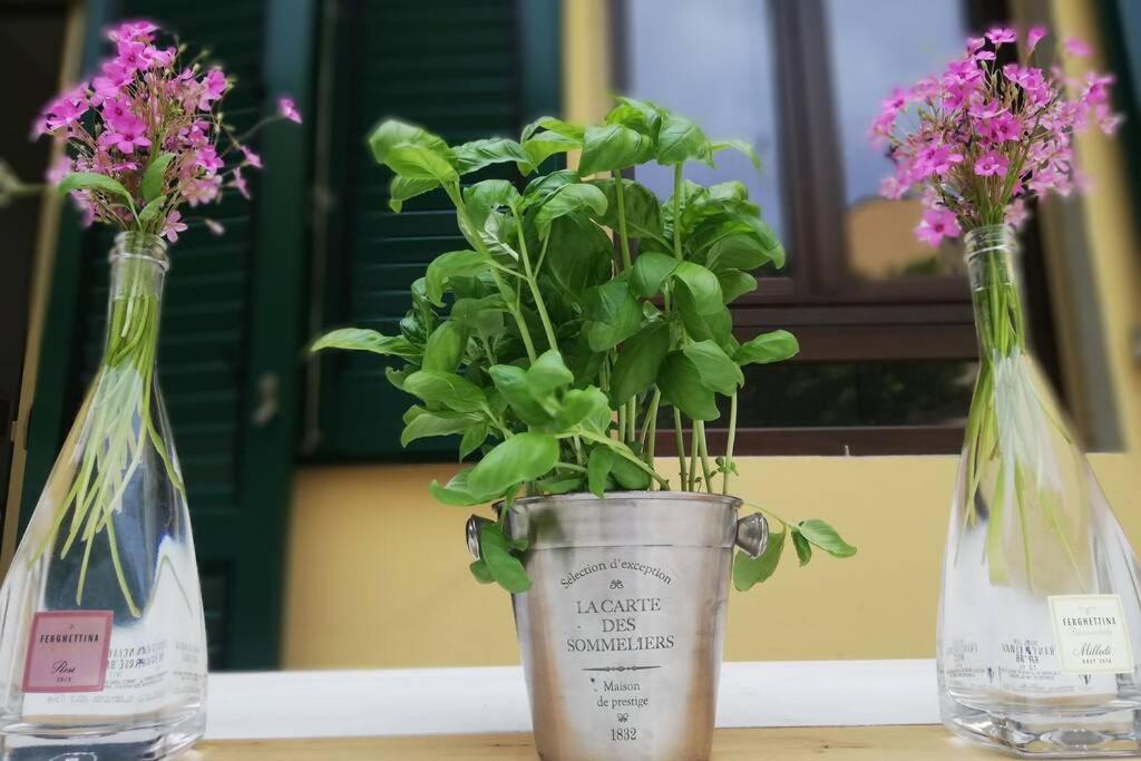 Flower Garden Apartment Vicino Al Centro Φλωρεντία Εξωτερικό φωτογραφία